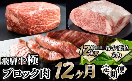 定期便 飛騨牛ブロック12回お届け 牛肉 和牛 ブランド牛 ごちそう 贅沢飛騨牛[Q1662]