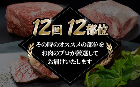 定期便 飛騨牛ブロック12回お届け 牛肉 和牛 ブランド牛 ごちそう 贅沢飛騨牛[Q1662]