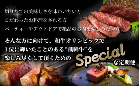 定期便 飛騨牛ブロック12回お届け 牛肉 和牛 ブランド牛 ごちそう 贅沢飛騨牛[Q1662]