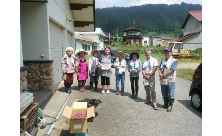 野草茶　15パック入り×4袋[B0172]