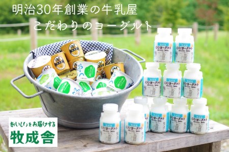 明治30年創業の牛乳屋の牛乳屋の飛騨産生乳で作る　ヨーグルト盛りだくさんセット[B0123]