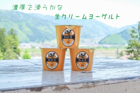 明治30年創業の牛乳屋の牛乳屋の飛騨産生乳で作る　ヨーグルト盛りだくさんセット[B0123]