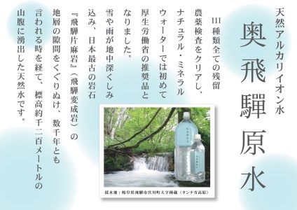 奥飛騨原水500ml × 24本 天然水 飛騨の天然水 飛騨市[B0124]