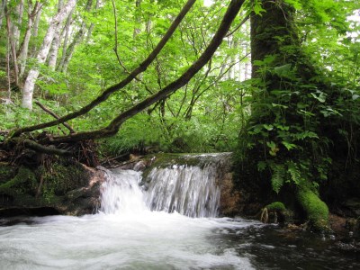 奥飛騨原水500ml × 24本 天然水 飛騨の天然水 飛騨市[B0124]
