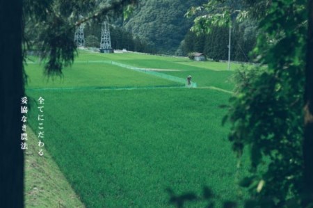 令和5年産 黄金の煌き 5kg