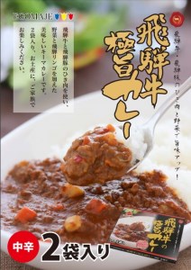 飛騨牛の極旨カレー　２食入り×２箱[B0056pi]