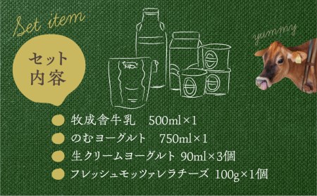 ＜牧成舎＞牛乳 ヨーグルト チーズ よりどりミニセット 4種 飛騨産生乳で作ったこだわりの乳製品セット 単身用 一人暮らし 2人暮らし ギフト まとめ買い[Q1912]