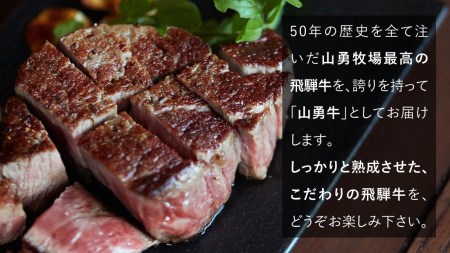 熟成飛騨牛『山勇牛』フィレステーキ用30日以上熟成［K0042］飛騨牛 ヒレ肉 飛騨市 冷凍