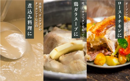 訳あり 鶏肉 丸鶏 中抜き 1羽 飛騨地鶏 地鶏 とり肉 水炊き ローストチキン タッカンマリ サムゲタン 参鶏湯 クリスマス パーティー アウトドア BBQ キャンプ [Q2616]