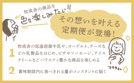 乳製品 定期便 6回＜牧成舎＞牛乳 ヨーグルト チーズ ピザ ソーセージ 牧成舎の商品をまるごと楽しむ 定期便 お楽しみ [Q1942]