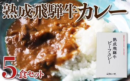 熟成飛騨牛カレー レトルト 詰め合わせ 5食セット 国産和牛カレー 観光地応援 熨斗対応 レトルトカレー 保存食 常備食 ビーフカレー [Q2014pi]