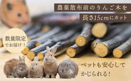 小動物用 かじり木 飛騨のりんごの木 農薬散布前[Q1981xc]