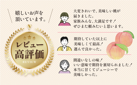 【先行予約 2025年お届け】朝採れ 飛騨のこだわり桃 8~9玉（2.5キロ） 秀品[Q2186x_25] syun71