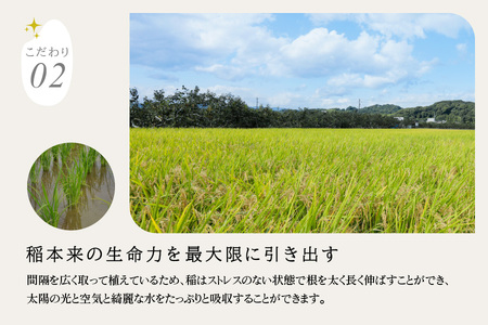 【令和5年度産】蛍舞う綺麗な水で育てた岐阜県の幻のお米 有機肥料米 ハツシモ(精米)5kg [1451]