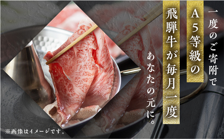 【定期便】A5 飛騨牛 12回 計 6.5kg 飛騨牛 トキノ屋食品