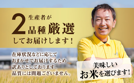 【 訳あり 】おまかせ米 10kg ( 2品種 おまかせ 5kg ×2) 生産者が厳選してお届け 米 こめ ごはん 白米 岐阜県産 本巣市 お米 精米 おにぎり 弁当 やわらかい もちもち 旨味 甘い 和食 寿司 アグリード  訳あり 米  訳あり 米  訳あり 米  訳あり 米  訳あり 米  訳あり 米  訳あり 米  訳あり 米  訳あり 米  訳あり 米  訳あり 米  訳あり 米  訳あり 米  訳あり 米  訳あり 米  訳あり 米  訳あり 米  訳あり 米  訳あり 米  訳あり 米  訳あり 米  訳あり 米  訳あり 米  訳あり 米  訳あり 米  訳あり 米  訳あり 米  訳あり 米  訳あり 米  訳あり 米  訳あり 米  訳あり 米  訳あり 米  訳あり 米  訳あり 米  訳あり 米  訳あり 米  訳あり 米  訳あり 米  訳あり 米  訳あり 米  訳あり 米  訳あり 米  訳あり 米  訳あり 米  訳あり 米  訳あり 米  訳あり 米  訳あり 米 