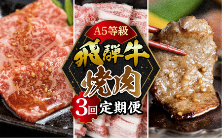 A5 飛騨牛焼肉3回定期便 トキノ屋食品 牛肉 肉 和牛 定期便 3ヶ月 3回 焼肉 バラ モモ 飛騨牛 毎月