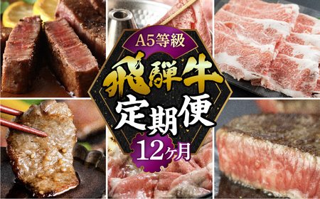 【定期便】A5 飛騨牛 12回 定期便 飛騨牛 トキノ屋食品