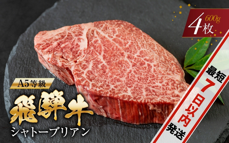【最短7日以内発送・日付指定可】トキノ屋食品 A5等級 シャトーブリアンステーキ150g×4枚 トキノ屋食品 牛肉 ヒレ ステーキ シャトーブリアン 高級 美味しい おすすめ はじめて  岐阜県 本巣市 和牛 黒毛和牛 にく やわらかい  