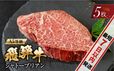 【最短7日以内発送・日付指定可】トキノ屋食品 A5等級 シャトーブリアンステーキ150g×5枚 トキノ屋食品 牛肉 ヒレ ステーキ シャトーブリアン 高級 美味しい おすすめ はじめて  岐阜県 本巣市 和牛 黒毛和牛 にく やわらかい  