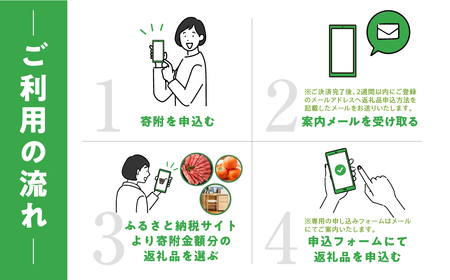あとからチョイス 20万円  本巣市返礼品カタログ あとから選べる 肉 牛肉 豚肉 ステーキ すき焼き 焼肉 しゃぶしゃぶ うなぎ 家具 椅子 チェア デスク 机 人気 おすすめ 野菜 カリモク 米 白米 コシヒカリ 柿 いちご いちじく 苺 梨 果物 フルーツ はちみつ 餃子 切り落とし 定期便 珈琲 高級 豪華 オンライン カタログ　