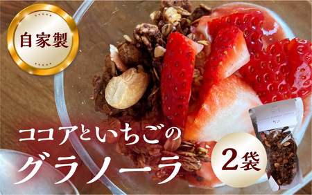 【2026年2月～発送】いちごとココアのグラノーラ2袋　ココア いちご 紅ほっぺ シリアル 朝食 ギフト｜フルーツ スイーツ 苺 牛乳 デザート おやつ イチゴ 子ども 大人 人気 甘い ビター 送料無料 岐阜県 本巣市  [mt290] family農園watanabe