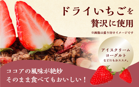【2026年2月～発送】いちごとココアのグラノーラ2袋　ココア いちご 紅ほっぺ シリアル 朝食 ギフト｜フルーツ スイーツ 苺 牛乳 デザート おやつ イチゴ 子ども 大人 人気 甘い ビター 送料無料 岐阜県 本巣市  [mt290] family農園watanabe