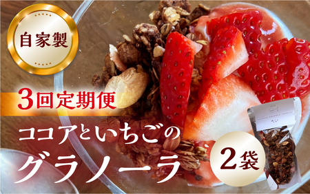 【3回定期便】【2026年2月～発送】いちごとココアのグラノーラ2袋 family農園watanabe ココア いちご 紅ほっぺ シリアル 朝食 ギフト ｜フルーツ スイーツ 苺 牛乳 デザート おやつ イチゴ 子ども 大人 人気 甘い ビター 岐阜県 本巣市  [mt293] family農園watanabe