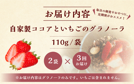 【3回定期便】【2026年2月～発送】いちごとココアのグラノーラ2袋 family農園watanabe ココア いちご 紅ほっぺ シリアル 朝食 ギフト ｜フルーツ スイーツ 苺 牛乳 デザート おやつ イチゴ 子ども 大人 人気 甘い ビター 岐阜県 本巣市  [mt293] family農園watanabe