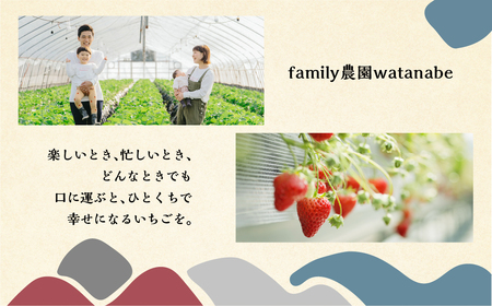 【3回定期便】【2026年2月～発送】いちごとココアのグラノーラ2袋 family農園watanabe ココア いちご 紅ほっぺ シリアル 朝食 ギフト ｜フルーツ スイーツ 苺 牛乳 デザート おやつ イチゴ 子ども 大人 人気 甘い ビター 岐阜県 本巣市  [mt293] family農園watanabe