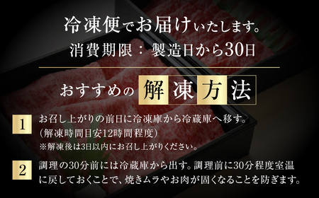 トキノ屋[A5等級] 飛騨牛切り落とし 500g×2 計1kg   [mt368]