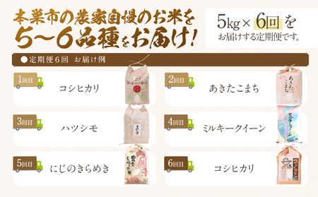 【 定期便 】全6回 令和6年産 お米 5～6品種 5kg お米食べ比べ 米 定期便 計 30kg ( 5kg × 6回）まるごと定期便 コシヒカリ あきたこまち ハツシモ ミルキークイーン にじのきらめき ひとめぼれ 米 こめ 白米 岐阜県産 本巣市 精米 こしひかり おにぎり 農家直送 人気 お楽しみ [mt1563]