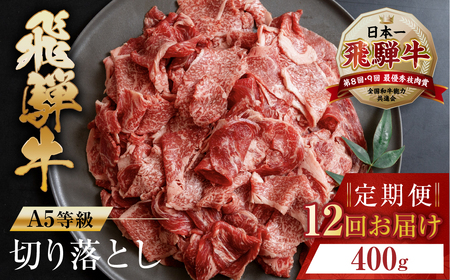 トキノ屋食品 A5等級 飛騨牛切り落とし 400g 12回お届け定期便[mt406]