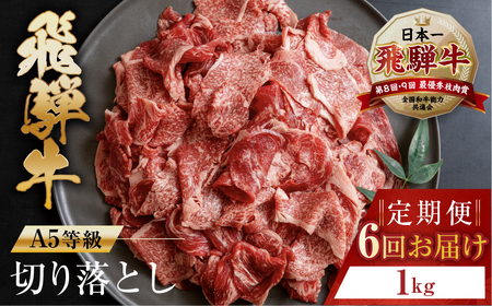 トキノ屋食品 A5等級 飛騨牛切り落とし 1kg 6回お届け定期便[mt413]
