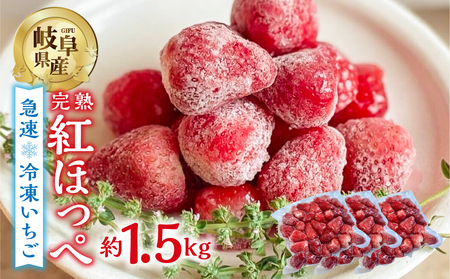 いちご いちご いちこ いちご adidas ZX 8000