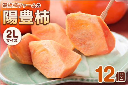 [先行予約] 令和8年産 陽豊柿 2Lサイズ 12個入り《2026年11月上旬より発送予定》 かき 陽豊 フルーツ カキ 果物 くだもの 産地直送 高橋柿ファーム 岐阜県 本巣市 10000円 1万 [mt480_26]	
