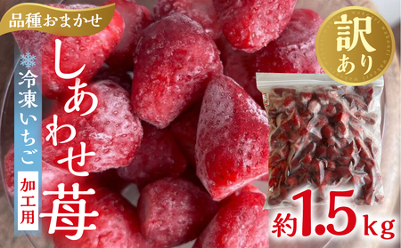 【2026年5月より発送】《 業務用の大袋 》 加工向きな 冷凍いちご 品種おまかせ 1.5kg 簡易梱包 サイズ 不揃い のため 訳あり 訳アリ フルーツ 果物 苺 いちご イチゴ アイス 紅ほっぺ よつぼし かおり野 ヨーグルト シャーベット 苺 family農園watanabe 子ども 家庭用 業務 加工向け 国産 産地直送 岐阜県 本巣市 8000円 8千円  [mt1561_omkase]
