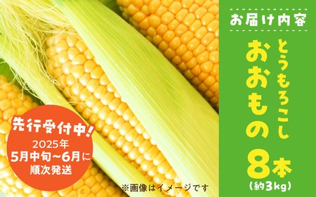 《先行予約》2025年5月～以降発送 とうもろこし 8本 約3kg おおもの オオモノ トウモロコシ 黄色 農園 産地直送 野菜 BBQ バーベキュー 簡易梱包 岐阜県産 本巣市 朝採れ 新鮮 やさい 数量限定 冷蔵 わくわくファーム 令和7年産