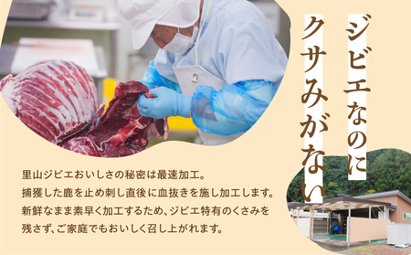 日本鹿の干し肉 鹿肉 ジビエ おつまみ ジャーキー おやつ 2袋 訳あり わけあり 国産 天然