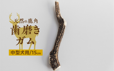 鹿角 犬用 歯磨きガム 15cm 中型犬用 デンタルケア おもちゃ ペット用品 犬 消毒済み 国産 天然 