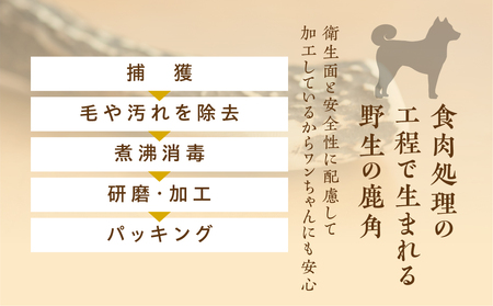 鹿角 犬用 歯磨きガム 15cm 中型犬用 デンタルケア おもちゃ ペット用品 犬 消毒済み 国産 天然 