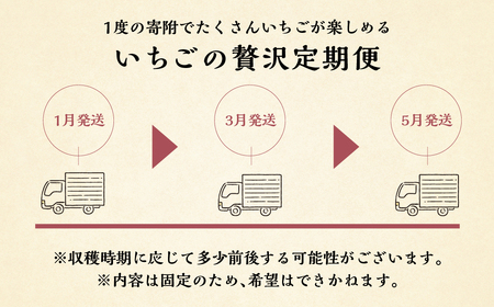 【定期便3回】【2027年1月より発送開始】いちご贅沢 紅ほっぺ 1kg ( 250g × 4p ) しあわせ苺 サイズ バラバラ 訳あり 訳アリ 含む 農園直送 フルーツ 苺 イチゴ 人気 本巣市 果物 先行予約 family農園watanabe [mt211_26] family農園watanabe