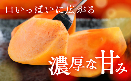 [先行予約] 《 訳あり 》完熟収穫 富有柿 4~7個 入り サイズ不揃い 規格外 おまかせ 家庭用 自宅用 柿 かき 富有柿 果物 ジューシー わけあり 訳アリ フルーツ 丸金青果 2024年11月下旬より順次発送 [mt1652]｜岐阜県 本巣市 5000円 5千円 常温