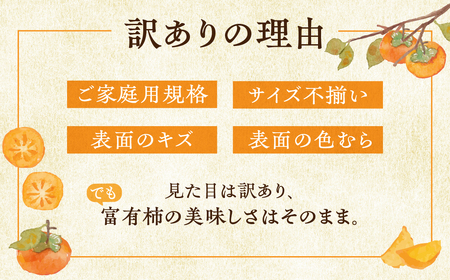 [先行予約] 《 訳あり 》完熟収穫 富有柿 4~7個 入り サイズ不揃い 規格外 おまかせ 家庭用 自宅用 柿 かき 富有柿 果物 ジューシー わけあり 訳アリ フルーツ 丸金青果 2024年11月下旬より順次発送 [mt1652]｜岐阜県 本巣市 5000円 5千円 常温