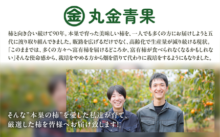 [先行予約] 《 訳あり 》完熟収穫 富有柿 4~7個 入り サイズ不揃い 規格外 おまかせ 家庭用 自宅用 柿 かき 富有柿 果物 ジューシー わけあり 訳アリ フルーツ 丸金青果 2024年11月下旬より順次発送 [mt1652]｜岐阜県 本巣市 5000円 5千円 常温