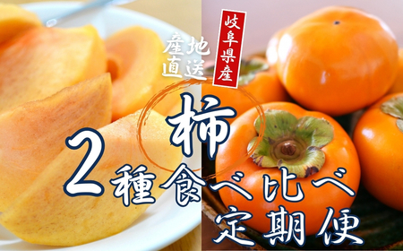 【先行予約】令和8年産 [定期便] 柿 2食べ比べ 合計約3kg 陽豊柿 富有柿 2L ～ 3Lサイズ 各5-6個 入り《11月上旬より収穫でき次第発送 かき お楽しみ フルーツ カキ 果物 くだもの 産地直送 先行予約 岐阜県 本巣市 高橋柿ファーム [mt1661_26]