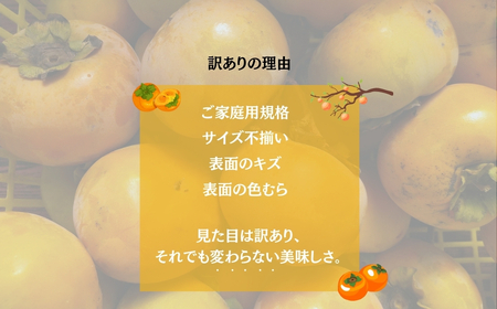 【 訳あり 】令和8年産 富有柿 3kg ( 2L~ 3L ) 10-12個 カキ かき 果物 くだもの フルーツ サイズ不揃い 表面 キズ 色ムラ 家庭用規格 のため 訳アリ わけあり 自宅用 家庭用 岐阜県 本巣市 高橋柿ファーム 先行予約 11月中旬～ 発送予定 [mt1663] 8000円 [mt1663_26]	