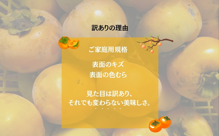 【 訳あり 】令和8年産 富有柿 3kg Lサイズ 14個 カキ かき 果物 くだもの フルーツ 表面 キズ 色ムラ 家庭用規格 のため 訳アリ わけあり 自宅用 家庭用 岐阜県 本巣市 高橋柿ファーム 先行予約 11月中旬～ 発送予定 [mt1664] 7000円 [mt1664_26]	