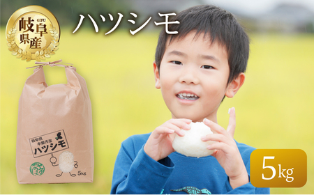 令和7年産 ハツシモ 5kg 米 こめ ごはん 白米 岐阜県産 本巣市 お米 精米 おにぎり 弁当 さっぱり 旨味 甘い 和食 寿司 岐阜県産 ヤマダライス