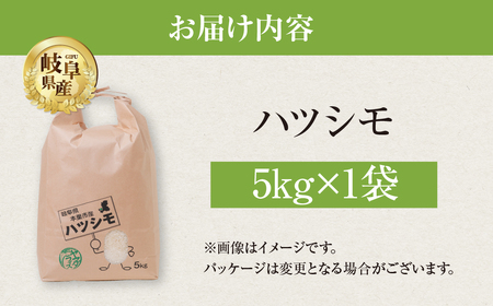令和7年産 ハツシモ 5kg 米 こめ ごはん 白米 岐阜県産 本巣市 お米 精米 おにぎり 弁当 さっぱり 旨味 甘い 和食 寿司 岐阜県産 ヤマダライス